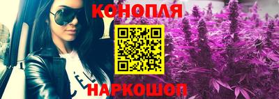 индика Заволжье